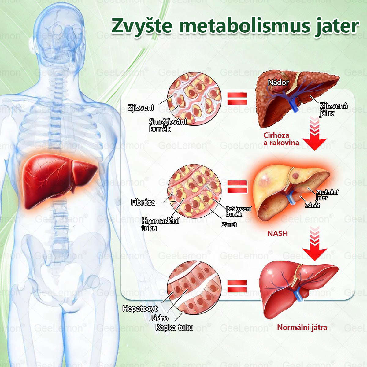 🎁 Zbývá už jen 5 balení! Nyní vám dáváme dalších 50 % slevy! Buďte fit a zdraví. Pokud tuto příležitost nevyužijete nyní, příště na ni budete mít šanci až příští rok!
